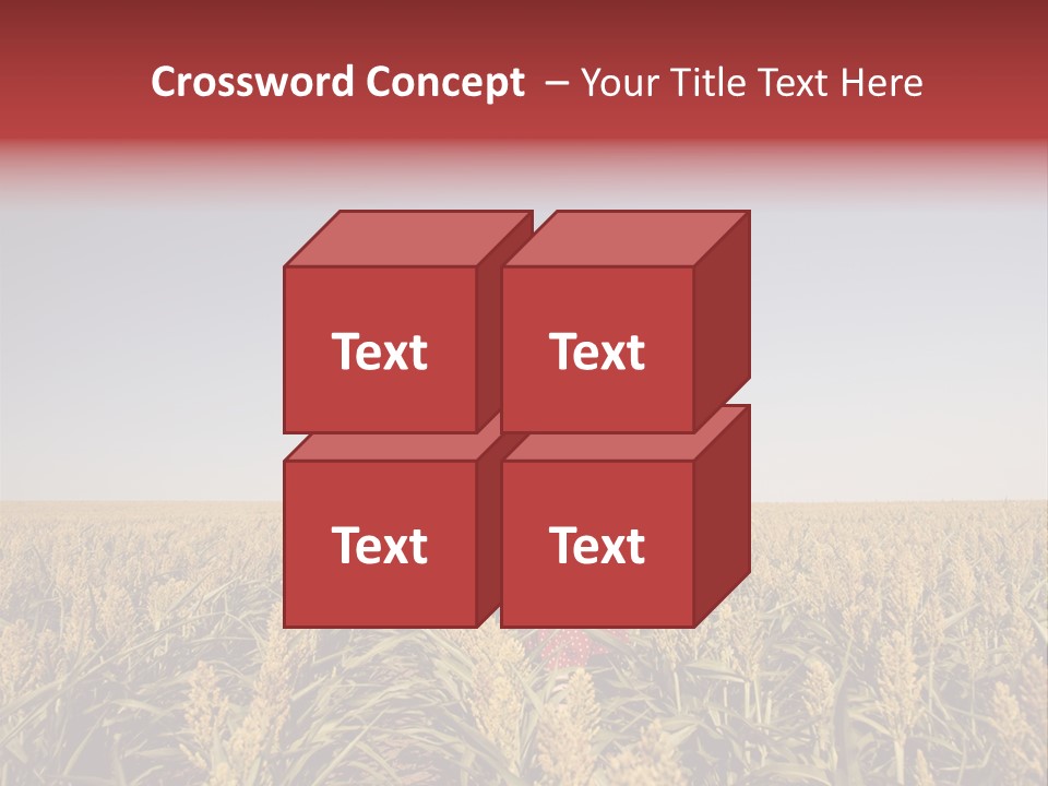 Dress Female Country PowerPoint Template