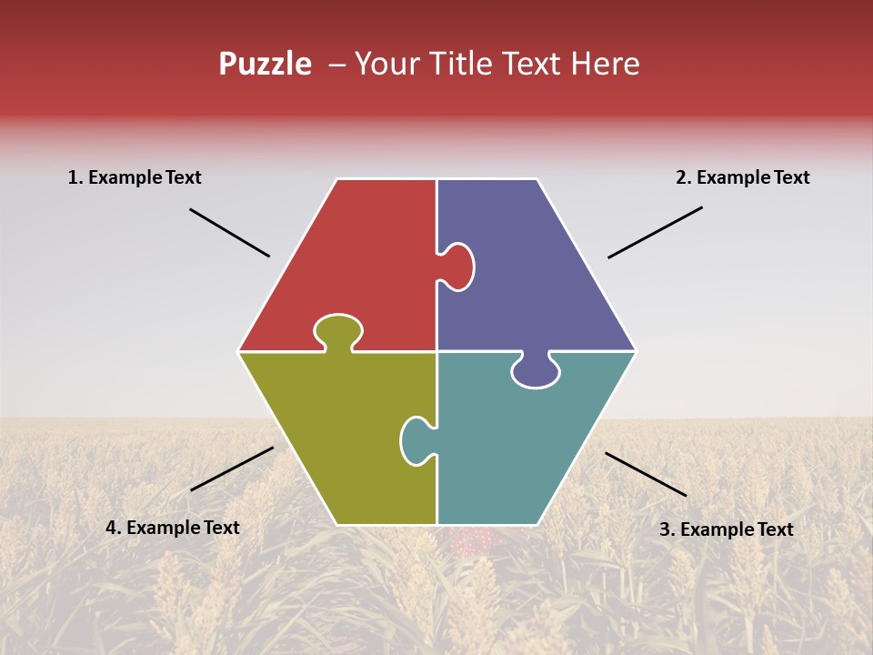 Dress Female Country PowerPoint Template