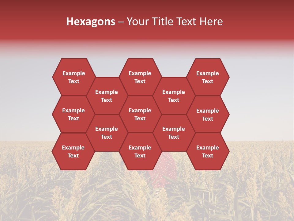 Dress Female Country PowerPoint Template