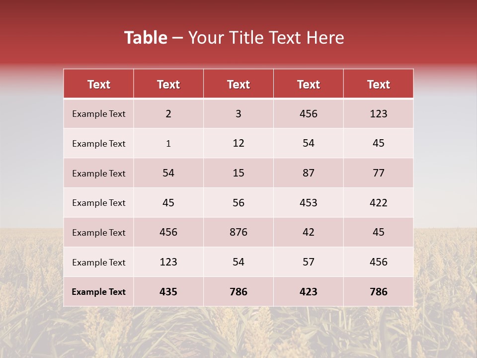 Dress Female Country PowerPoint Template