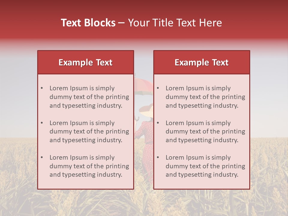 Dress Female Country PowerPoint Template