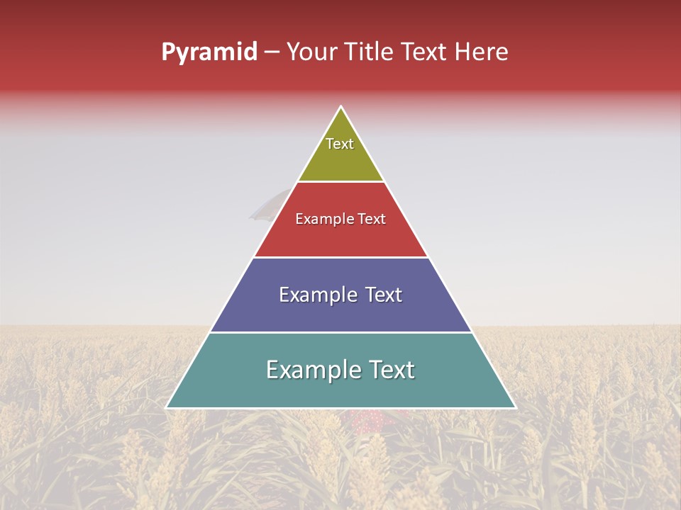 Dress Female Country PowerPoint Template