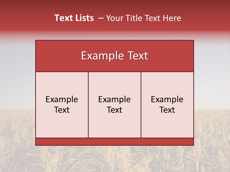 Dress Female Country PowerPoint Template