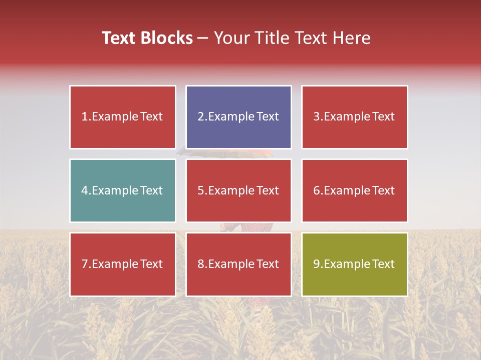 Dress Female Country PowerPoint Template