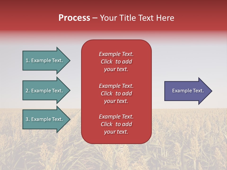 Dress Female Country PowerPoint Template