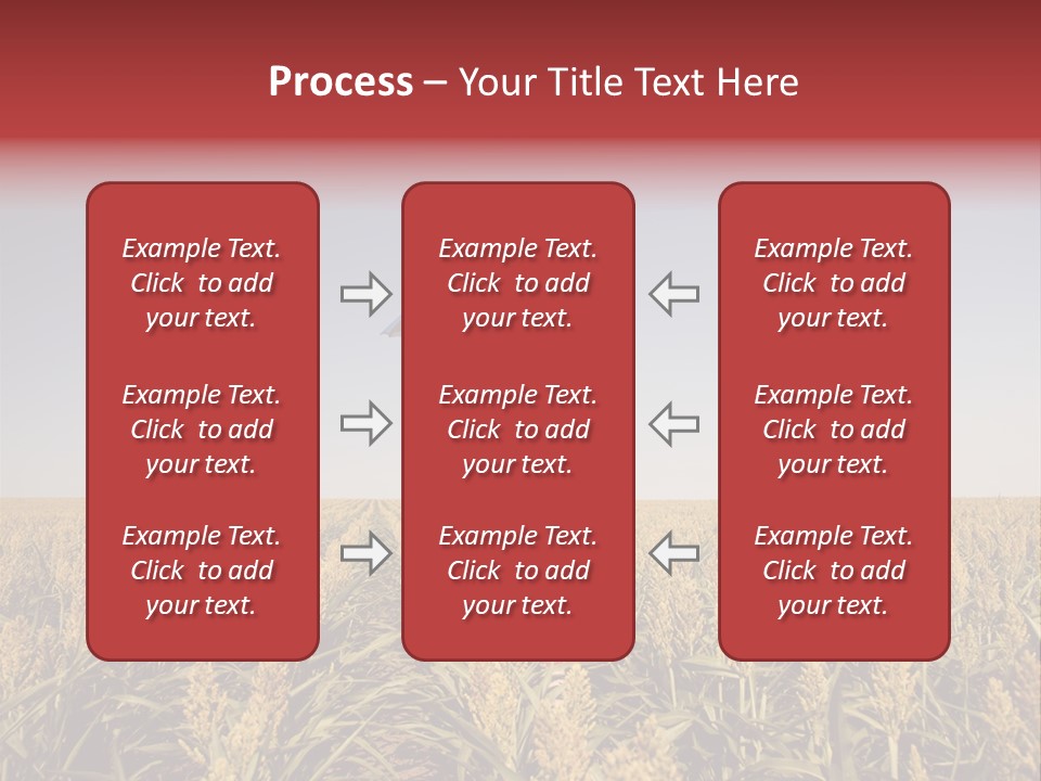 Dress Female Country PowerPoint Template