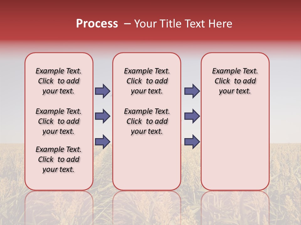 Dress Female Country PowerPoint Template