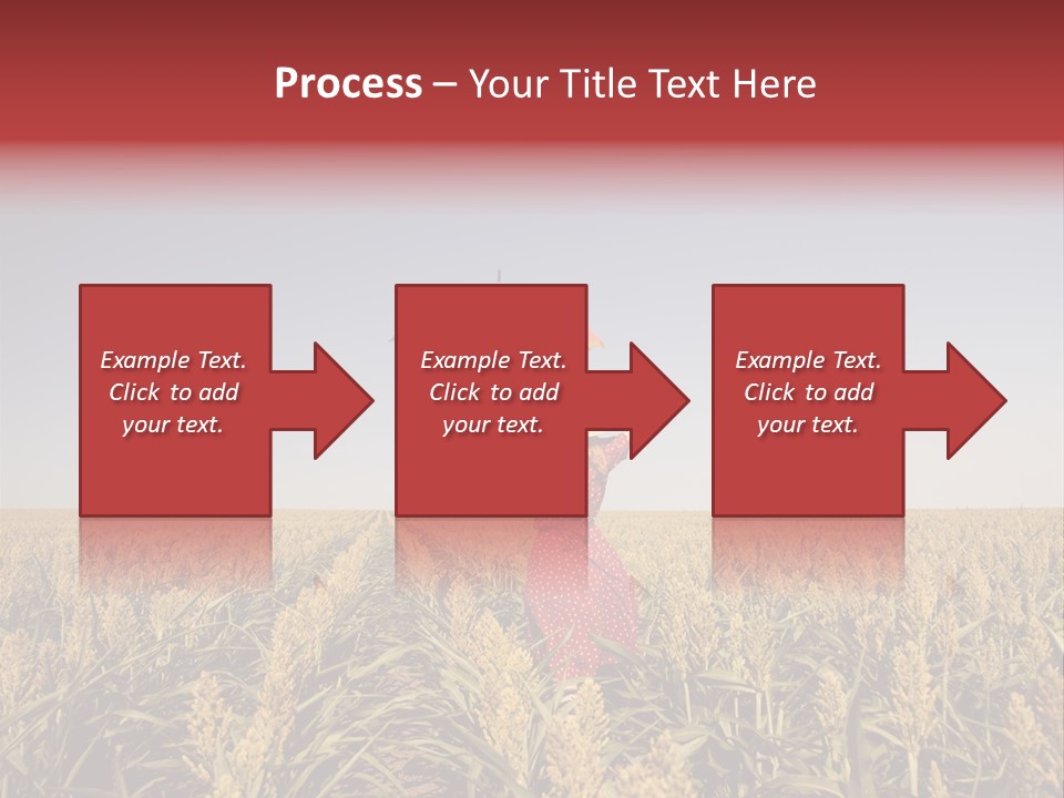 Dress Female Country PowerPoint Template