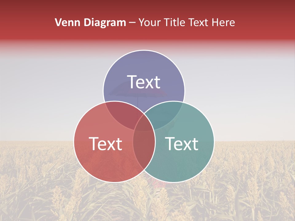 Dress Female Country PowerPoint Template