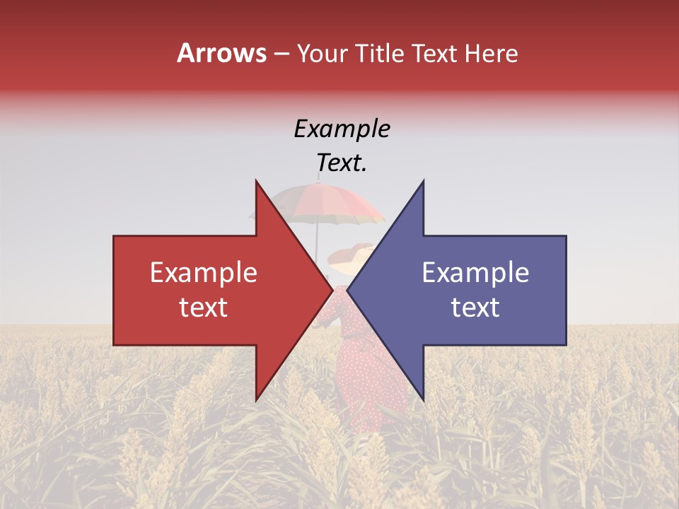 Dress Female Country PowerPoint Template