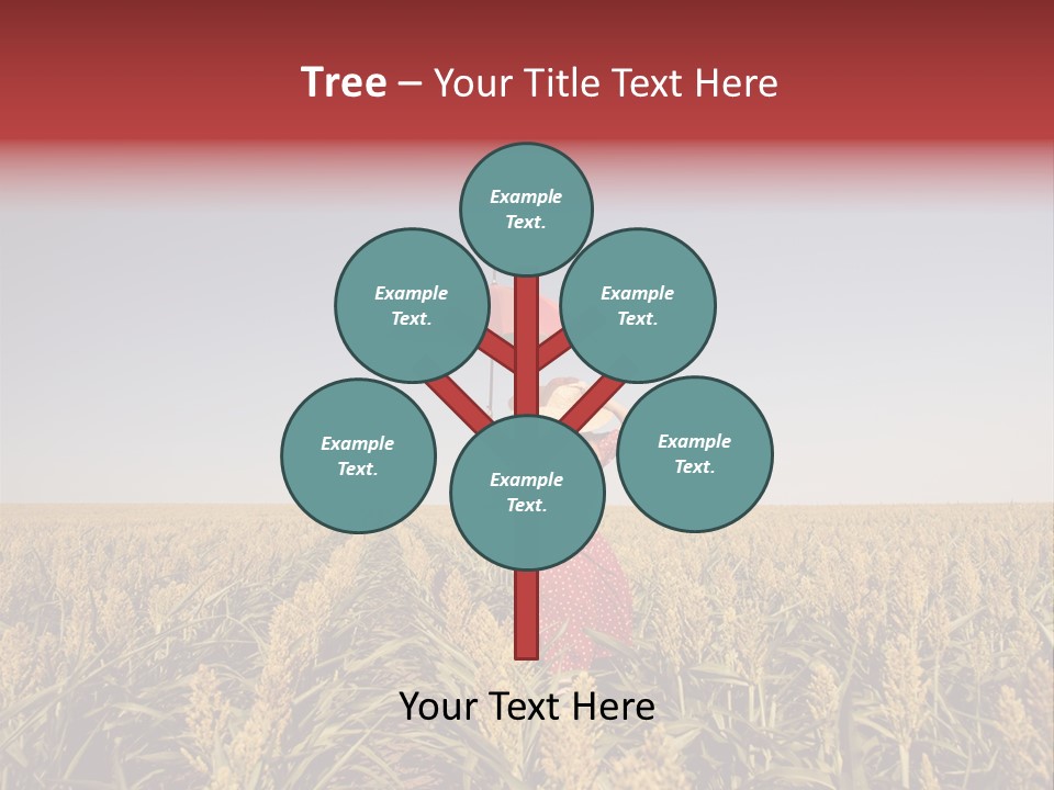 Dress Female Country PowerPoint Template