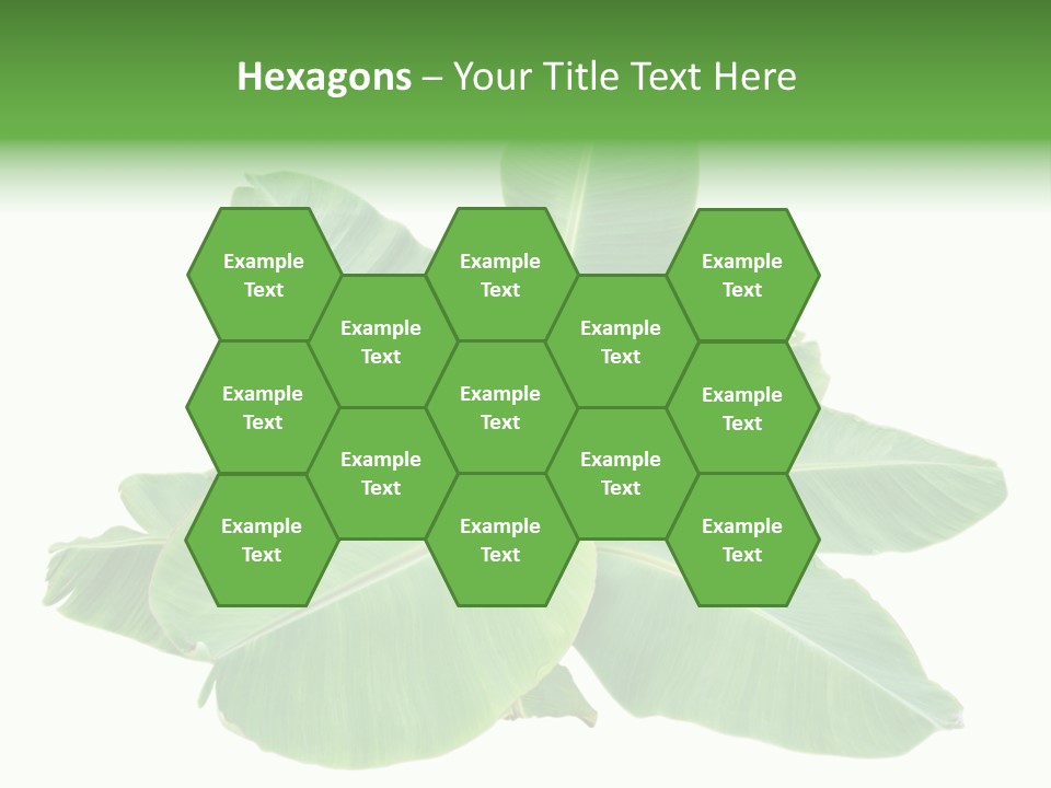 Leafy Sprout Life PowerPoint Template