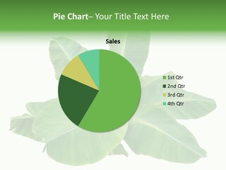 Leafy Sprout Life PowerPoint Template