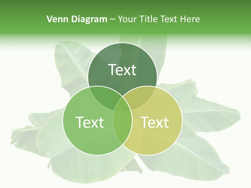 Leafy Sprout Life PowerPoint Template