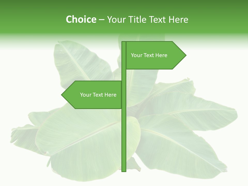 Leafy Sprout Life PowerPoint Template