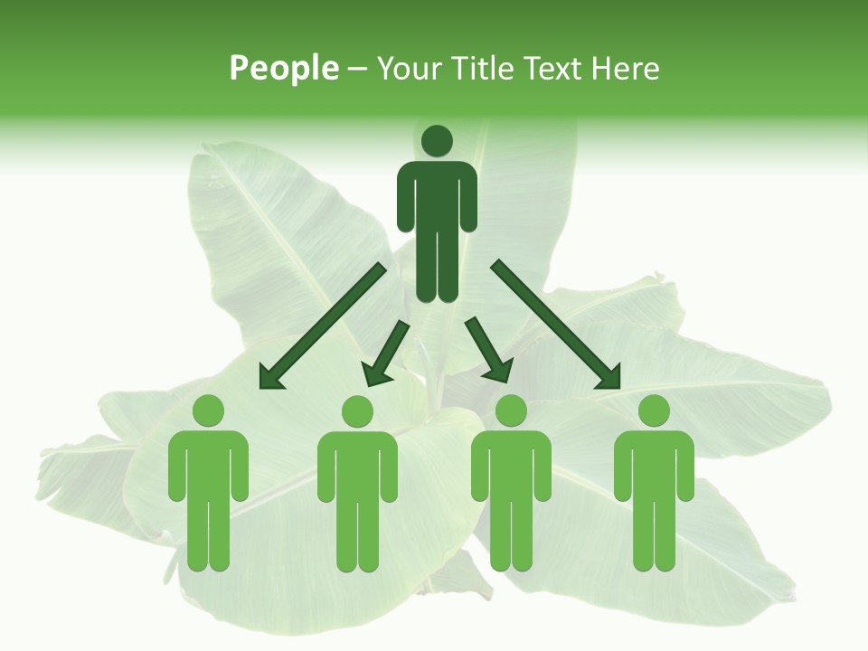 Leafy Sprout Life PowerPoint Template