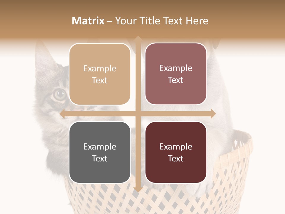 Affection Touching Youth PowerPoint Template