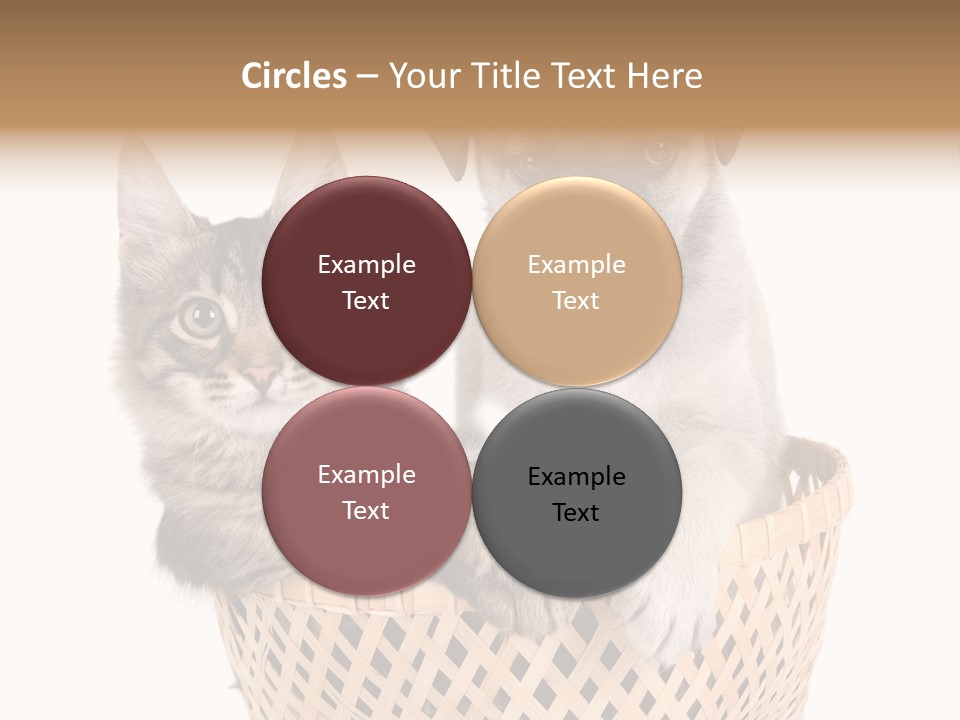 Affection Touching Youth PowerPoint Template