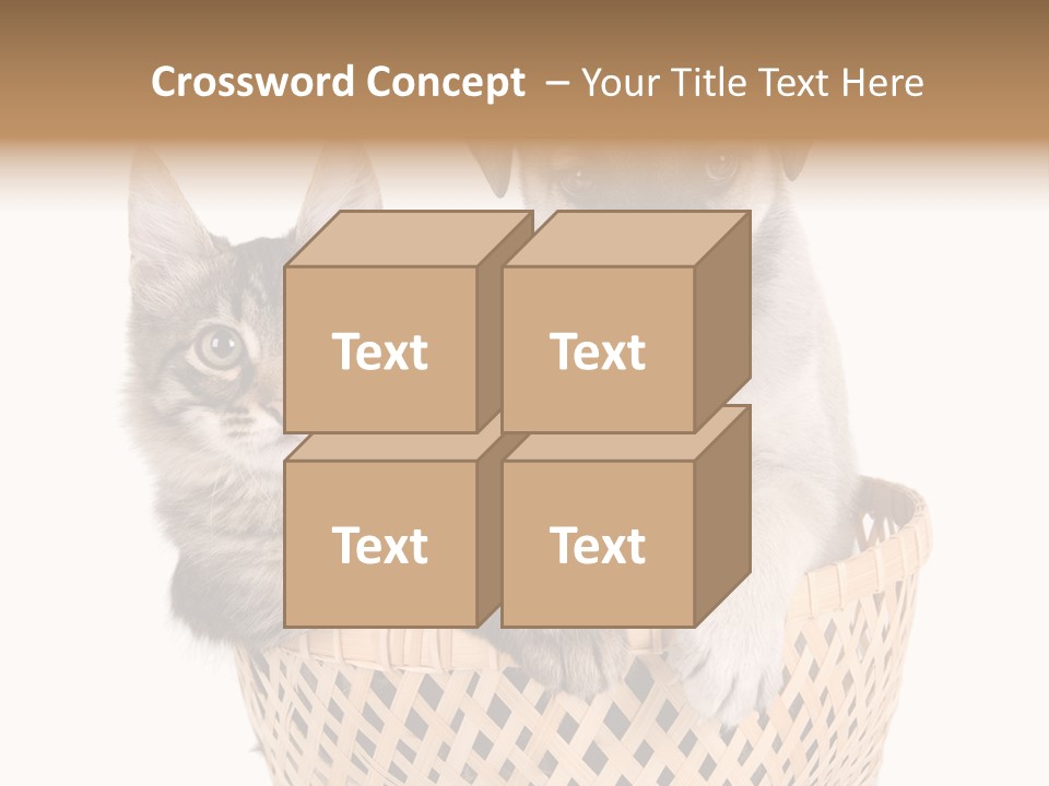 Affection Touching Youth PowerPoint Template