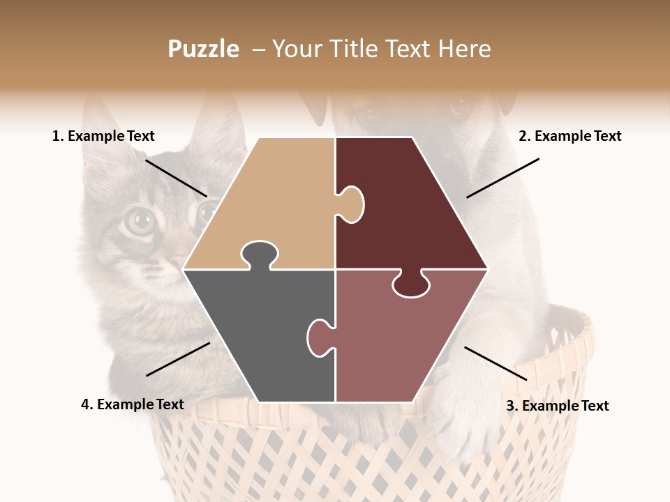 Affection Touching Youth PowerPoint Template