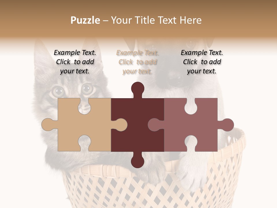 Affection Touching Youth PowerPoint Template