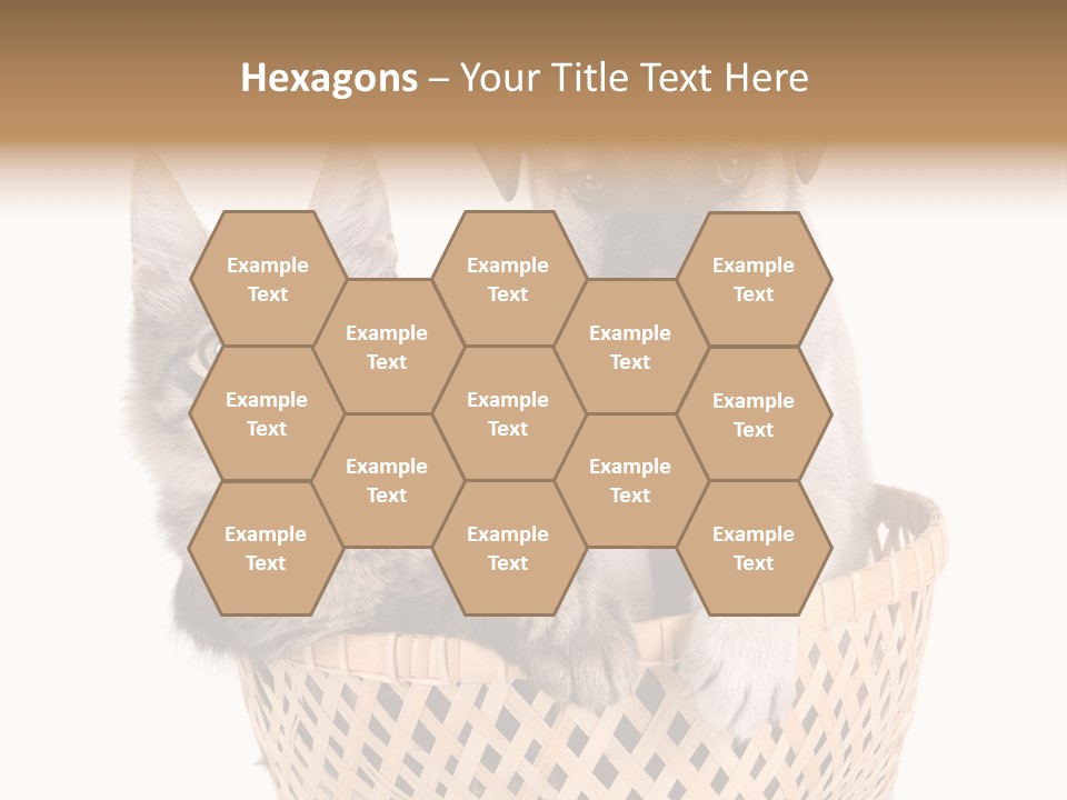 Affection Touching Youth PowerPoint Template