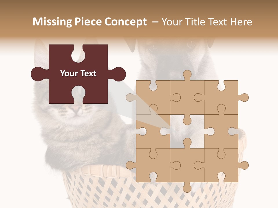 Affection Touching Youth PowerPoint Template