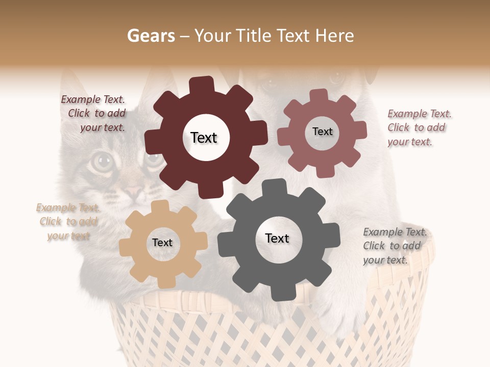 Affection Touching Youth PowerPoint Template