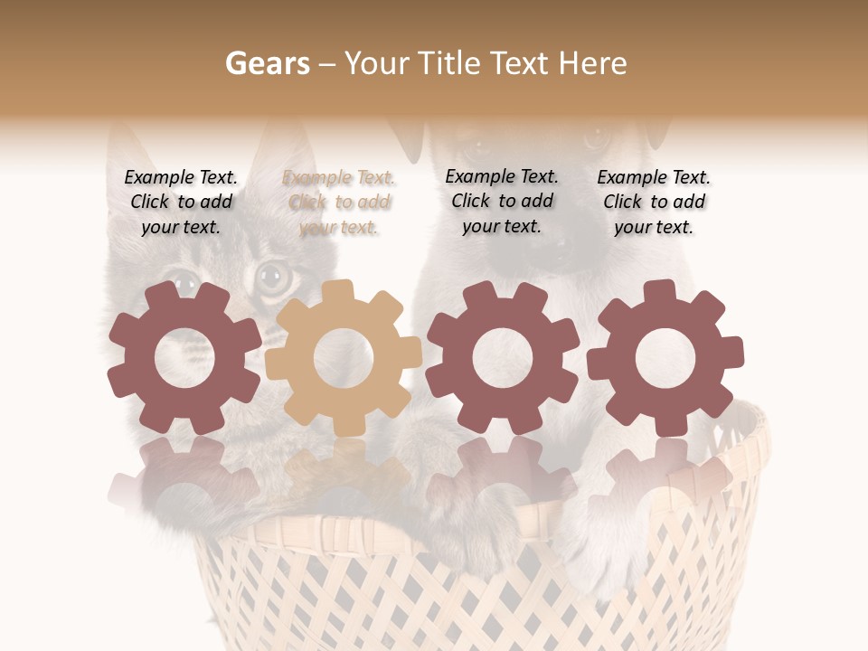 Affection Touching Youth PowerPoint Template