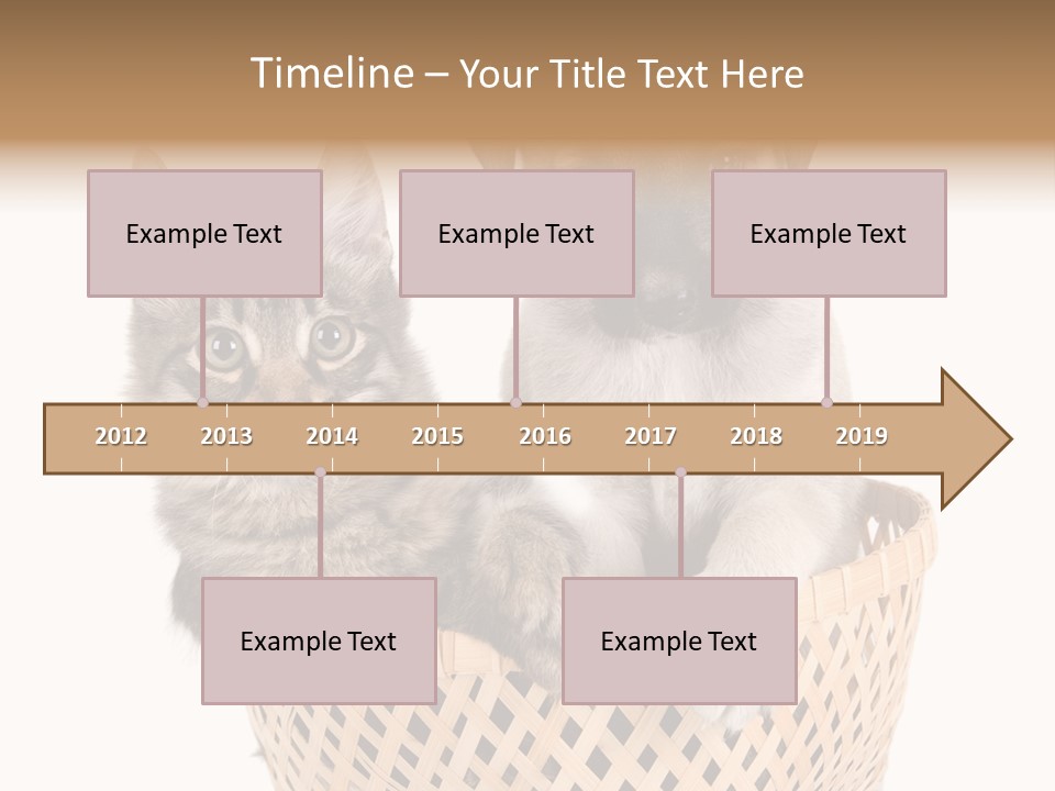 Affection Touching Youth PowerPoint Template