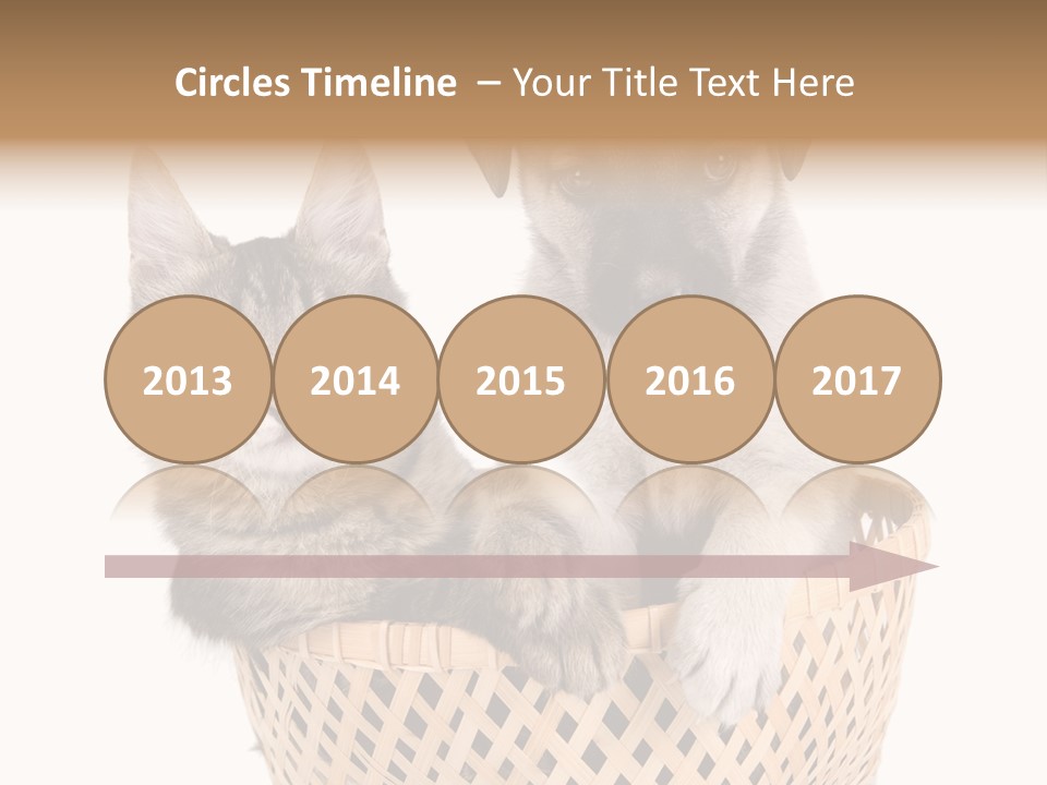 Affection Touching Youth PowerPoint Template