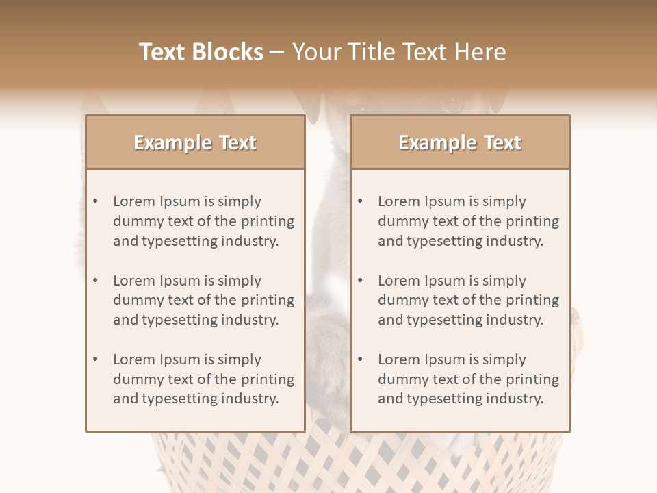 Affection Touching Youth PowerPoint Template