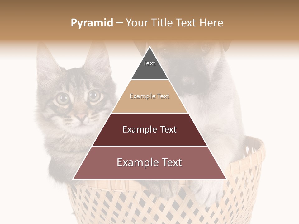 Affection Touching Youth PowerPoint Template