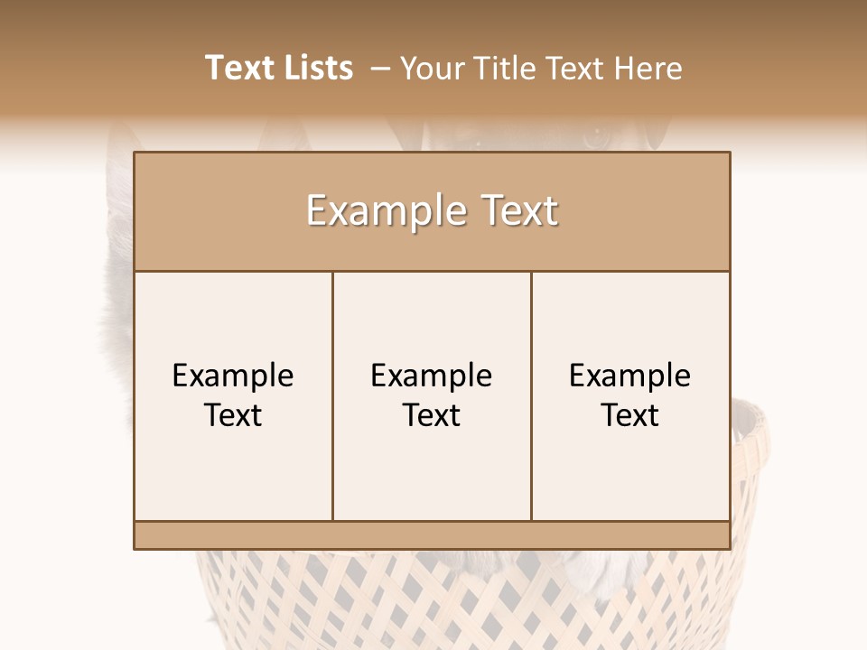 Affection Touching Youth PowerPoint Template