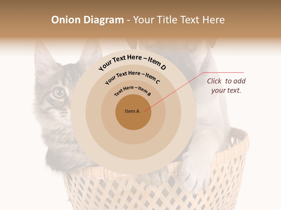 Affection Touching Youth PowerPoint Template