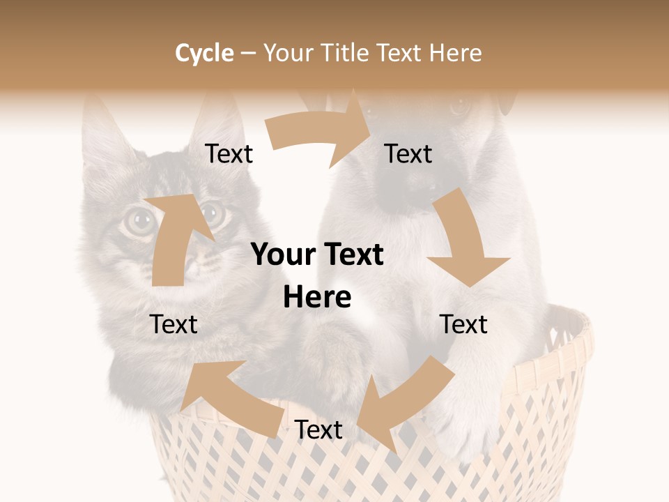 Affection Touching Youth PowerPoint Template