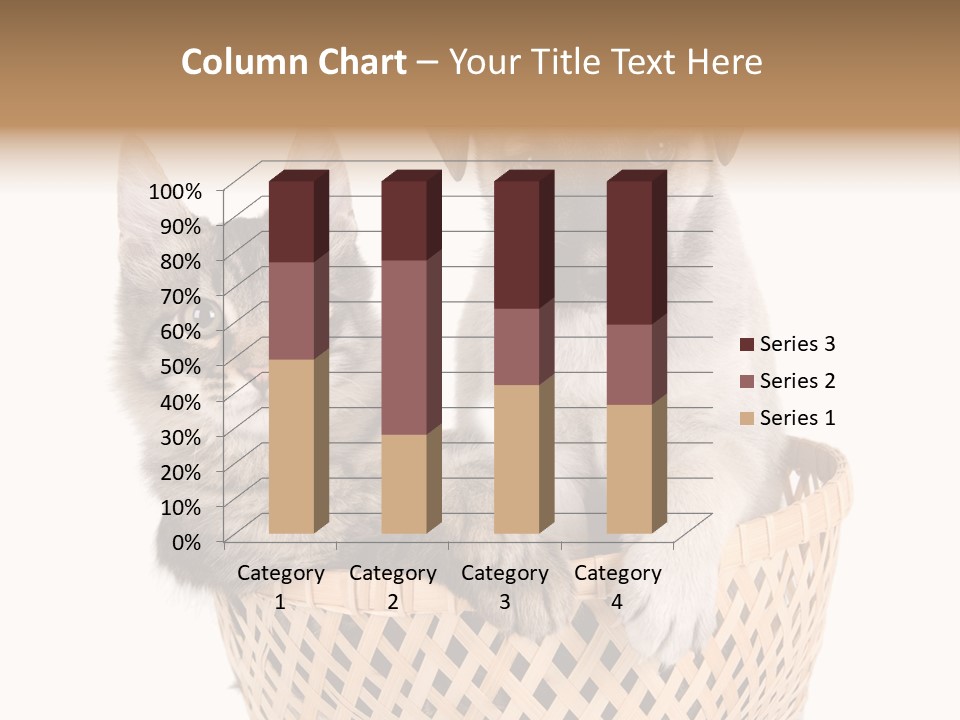 Affection Touching Youth PowerPoint Template