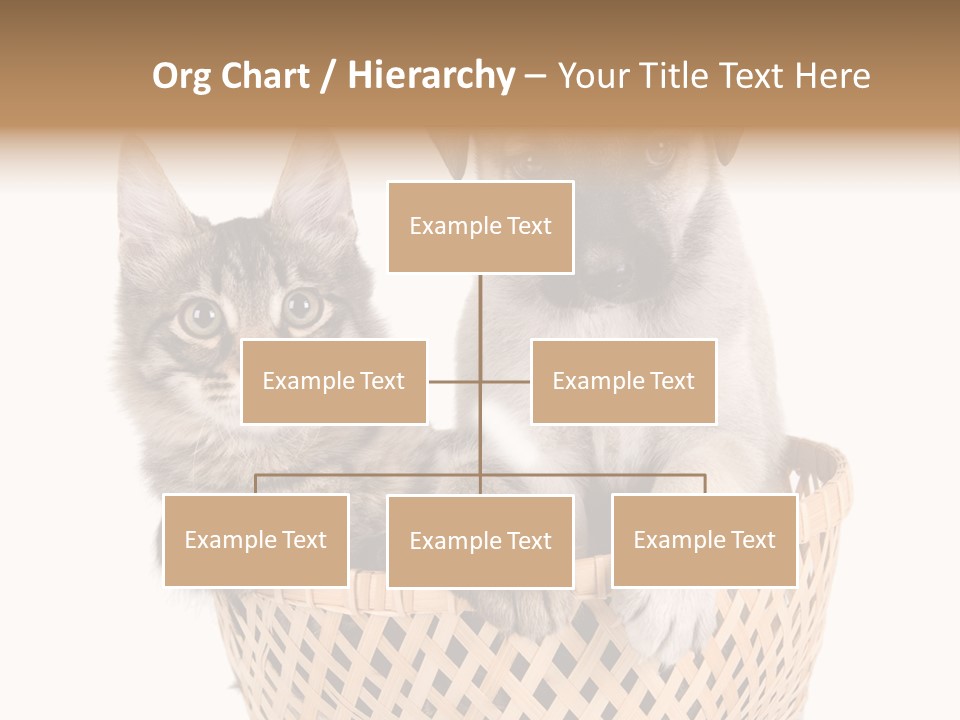 Affection Touching Youth PowerPoint Template