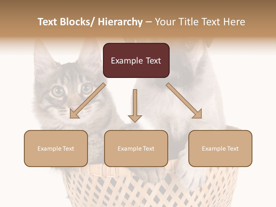 Affection Touching Youth PowerPoint Template