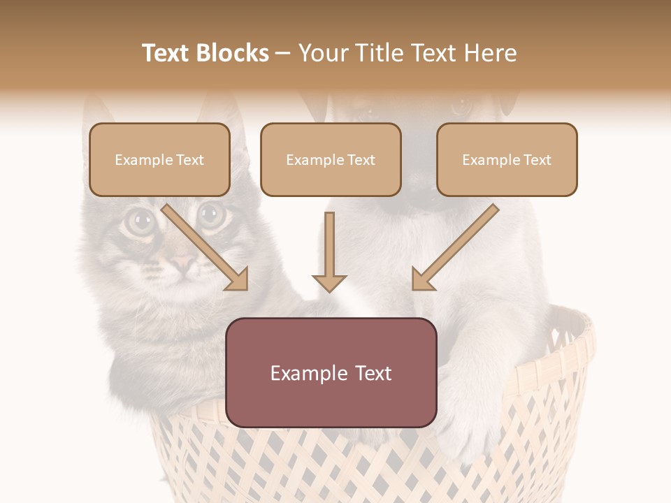 Affection Touching Youth PowerPoint Template