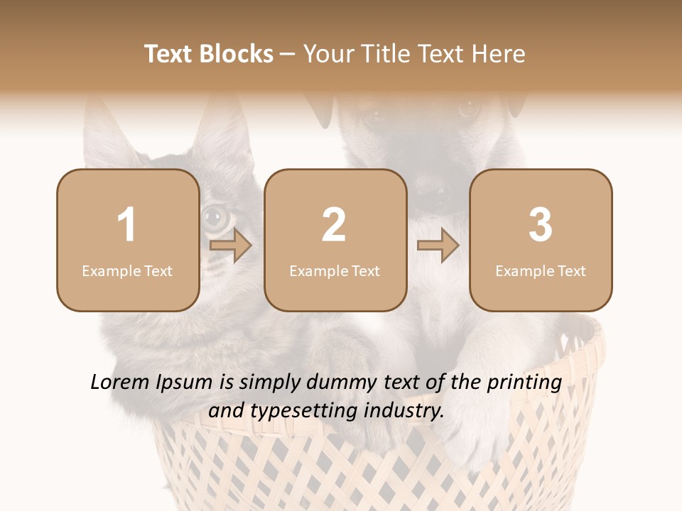 Affection Touching Youth PowerPoint Template