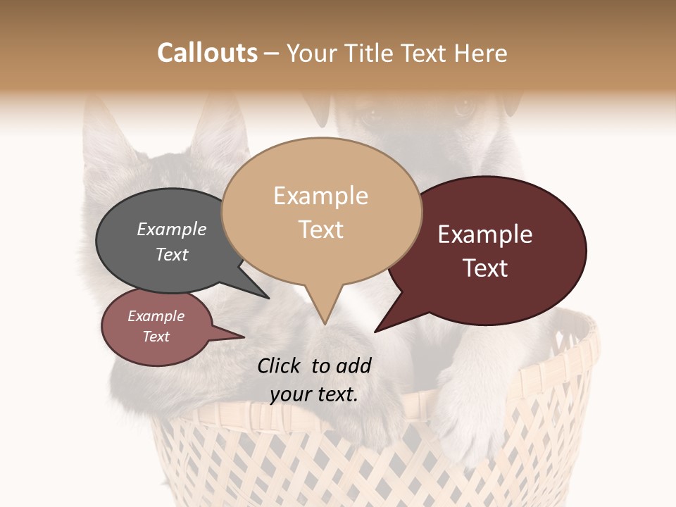 Affection Touching Youth PowerPoint Template