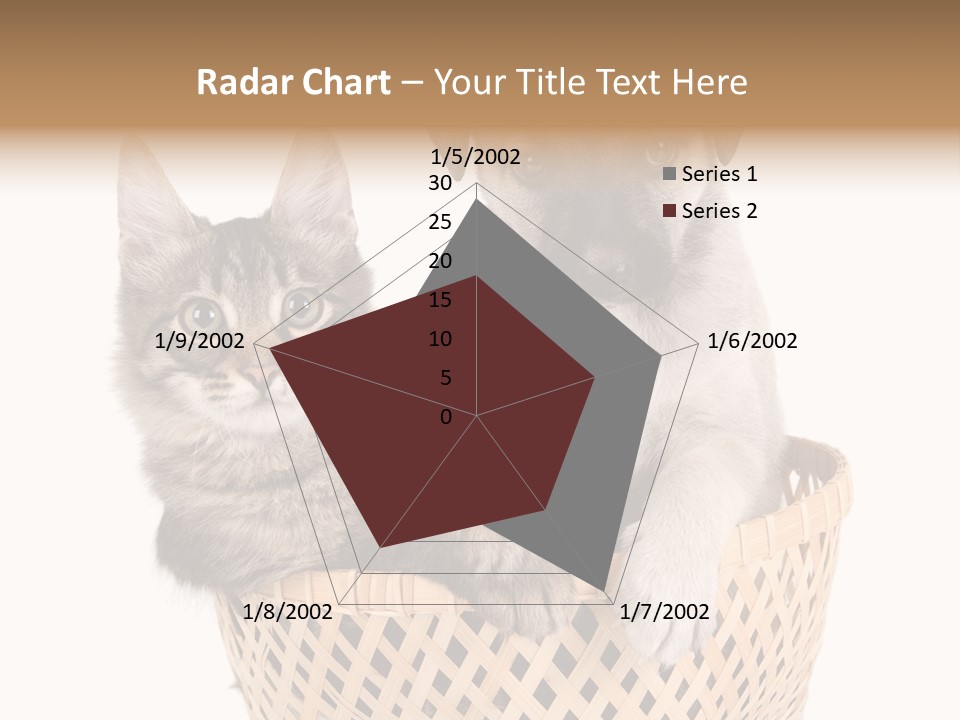 Affection Touching Youth PowerPoint Template