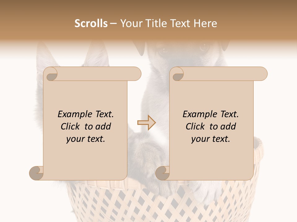 Affection Touching Youth PowerPoint Template
