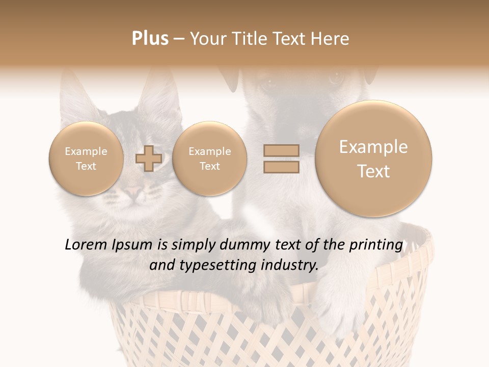 Affection Touching Youth PowerPoint Template