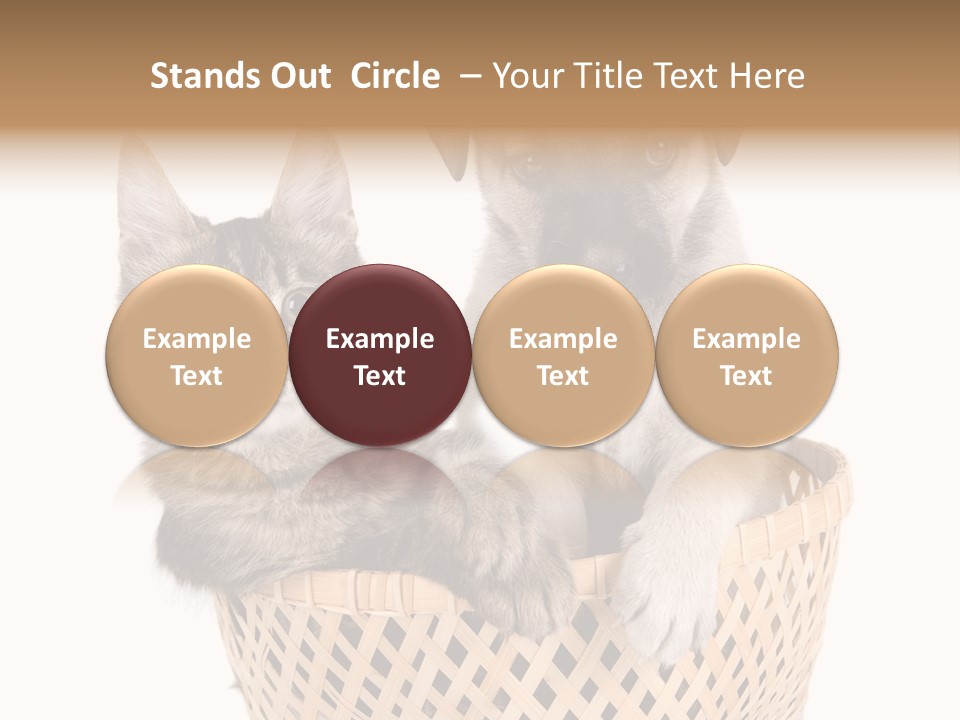 Affection Touching Youth PowerPoint Template