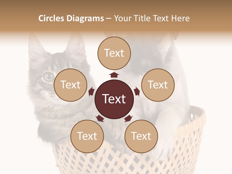 Affection Touching Youth PowerPoint Template