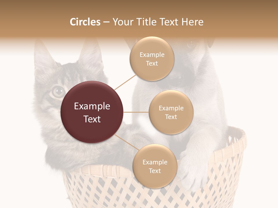 Affection Touching Youth PowerPoint Template