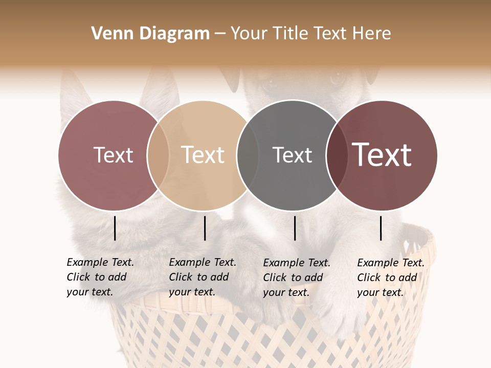 Affection Touching Youth PowerPoint Template