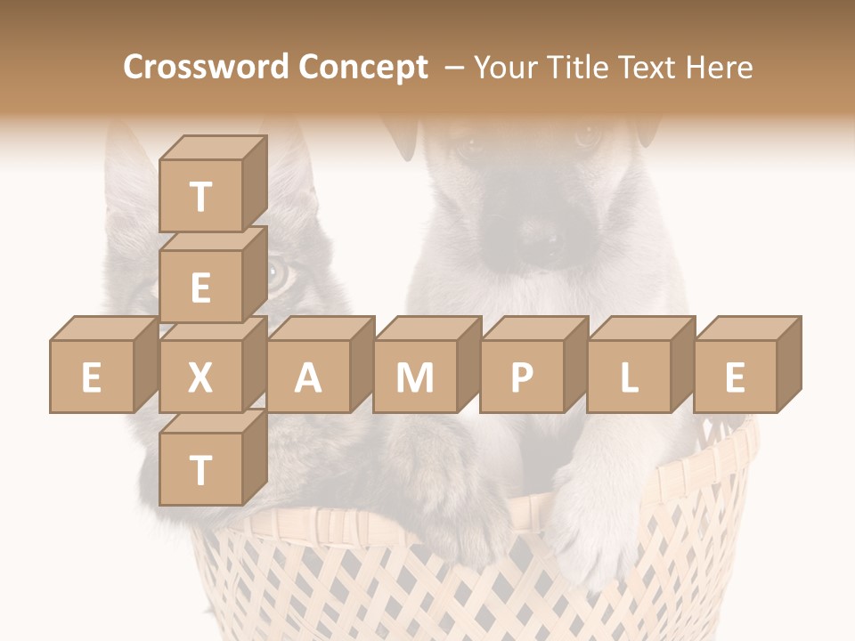 Affection Touching Youth PowerPoint Template